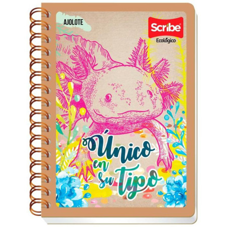 CUADERNO F.F. ESP SCRIBE 2230 RAYA 100 H ECOLOGICO 23128