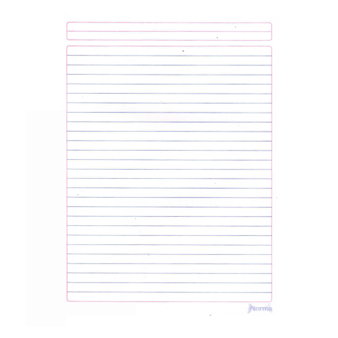 CUADERNO PROF COSIDO NORMA COLOR RAYA 100H NARANJA 134405
