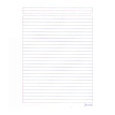 CUADERNO PROF COSIDO NORMA COLOR RAYA 100H NARANJA 134405