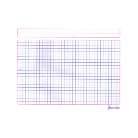 CUADERNO F.I COS NORMA COLOR 5MM 100H AMARILLO 134416
