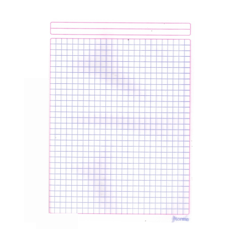 CUADERNO PROF COS NORMA COLOR 360 7MM 100H VERDE 134408