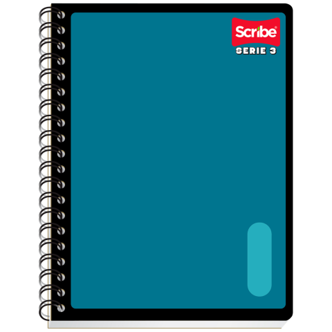 CUADERNO PROF. ESP. DOBLE SCRIBE 2670 RAYA 200H 135768