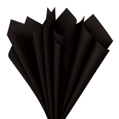 PAPEL DE CHINA COLS BELUMOSA 50 X 75 NEGRO 23602