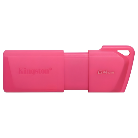 MEMORIA FLASH KINGSTON 64 GB USB 3.2 GEN 1 DTXM ROSA