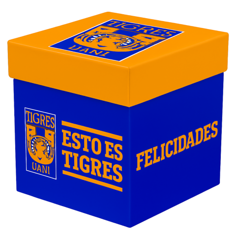CAJA REGALO TIGRES HECYMAR 20X20CMS 42596
