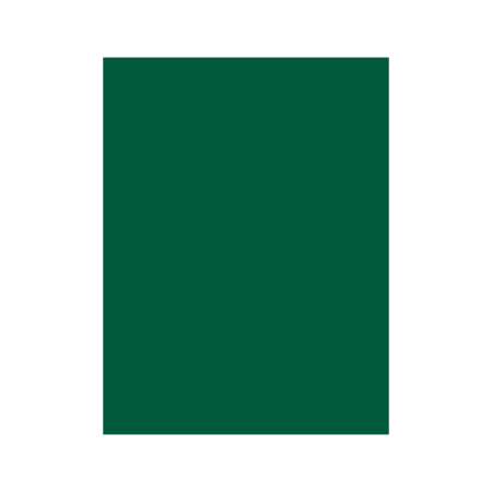 HOJA TAMANO CARTA ECOLOGICO COLOR VERDE BANDERA  33222
