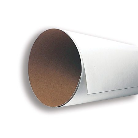 CARTON CAPLE PROPASA 12P 71X25 235GMS  66414