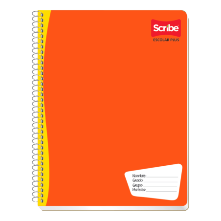 CUADERNO PROFESIONAL SCRIBE RAYA 100H 193443