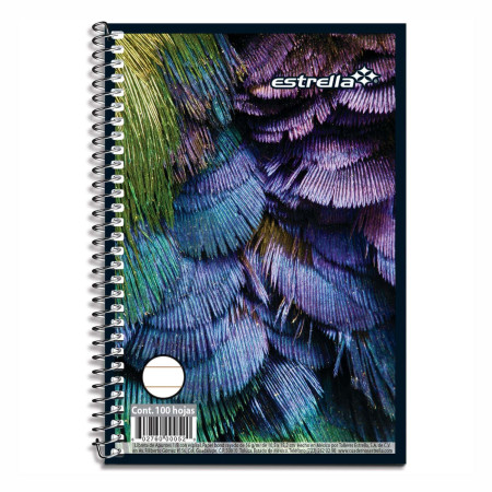 LIBRETA 1/8 APUNTES ESTRELLA 0122 RAYA 10.0X15.4 50HJS 61007