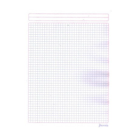 CUADERNO PROF COSIDO NORMA COLOR 360 581282 5MM 100HJ 134407