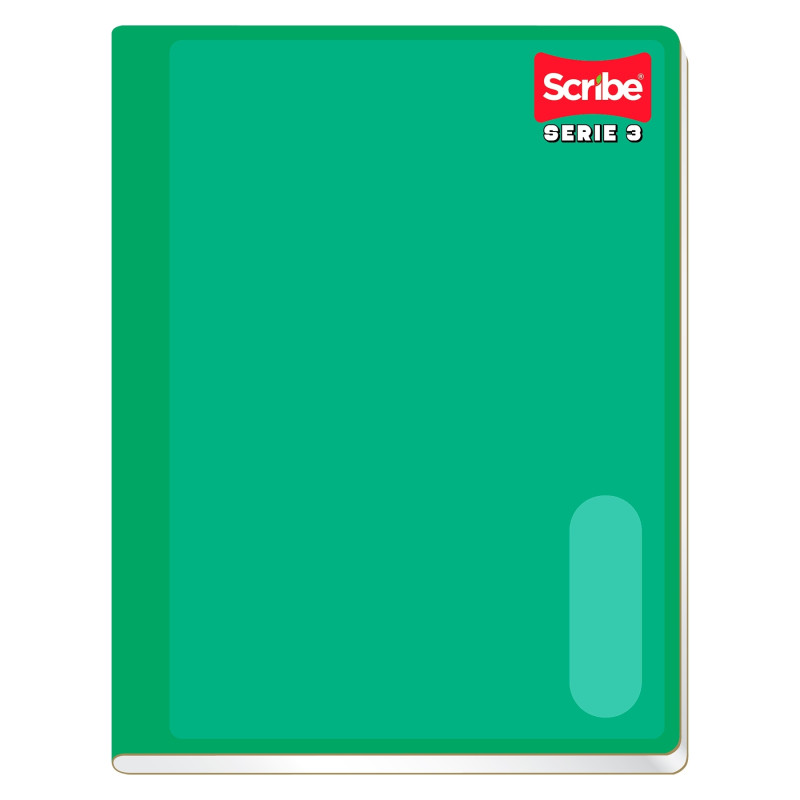 CUADERNO PROF. COSIDO SR SCRIBE 4300 RAYA 100 H. SERIE 3 49181