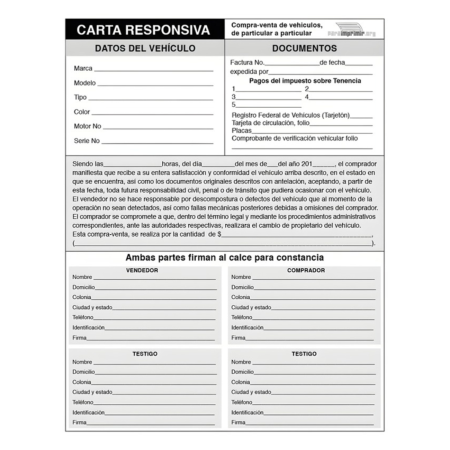Descarga Carta Responsiva