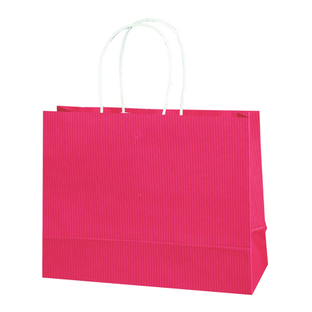 BOLSA REGALO GOSTECH MEDIANO FIUSHA ITALIANO 152020