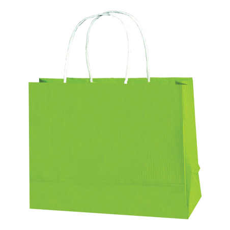 BOLSA REGALO GOSTECH VERDE ITALIANO 152020