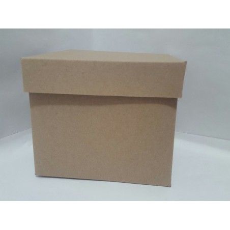 CAJA CUBO GRANDE CON TAPA