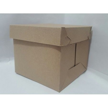 CAJA CUBO GRANDE CON TAPA