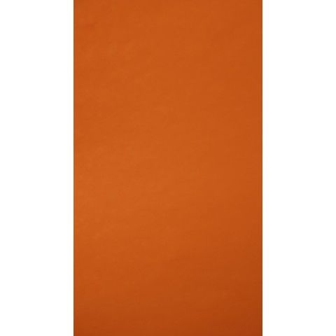 BOND EUROCOLORS CARTA NARANJA ZANAHORIA 51524
