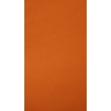 BOND EUROCOLORS CARTA NARANJA ZANAHORIA 51524