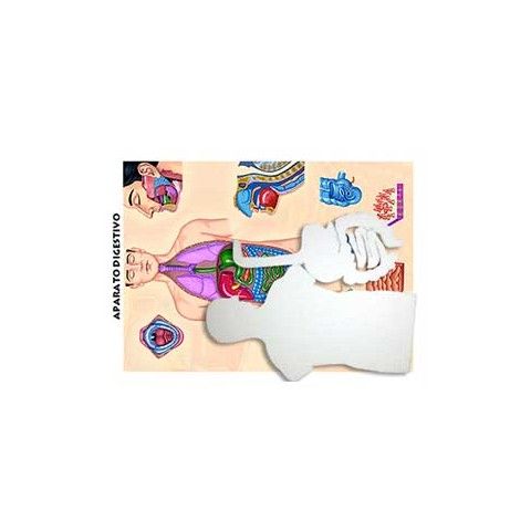MAQUETA APARATO RESPIRAT. EDIC.BOB MRA UNICEL 138542