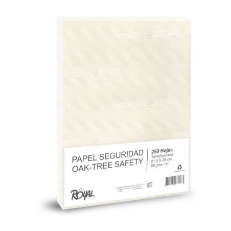 PAPEL SEGURIDAD COLS. 21.5 X 28 CMS GRIS 28002