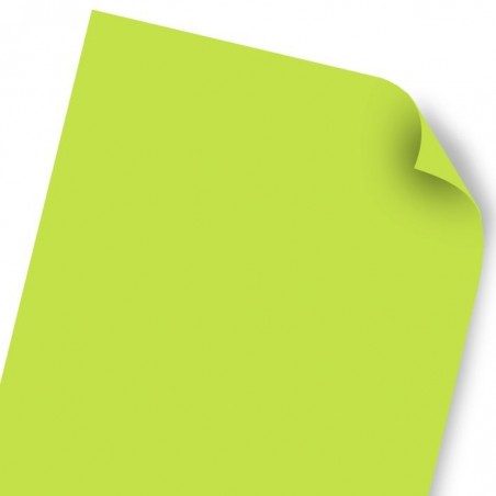 CART. 2C COLORES ASTROBRIGHT 50X66CMS VERDE VOLCAN 33511