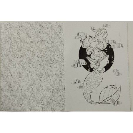 CUADERNO ILUMINAR LAROUSSE 5589 ANTIESTRE CHICAS 119355