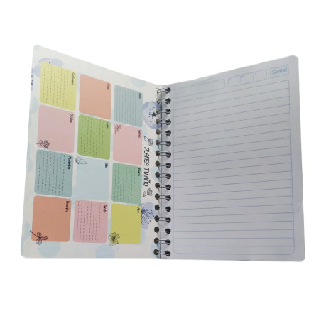 CUADERNO F.F. ESP. SCRIBE 6020 RAYA 100 H. NATURAL 23127