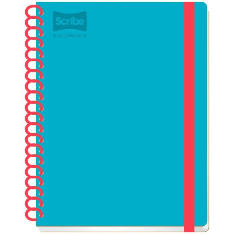 CUADERNO PROF SCRIBE 9450 RAYA 100H EXCELLENCE 30317